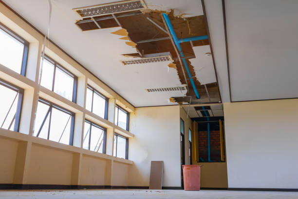 Best Carpet water damage restoration  in Mlstadt, IL