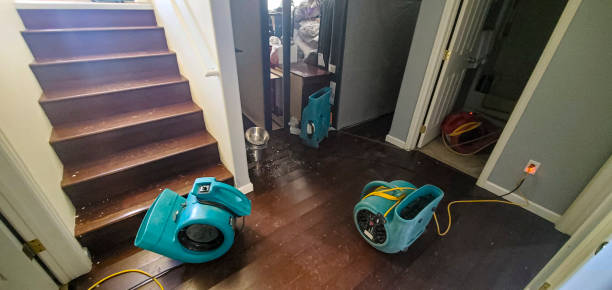 24/7 water damage repair in Millstadt, IL