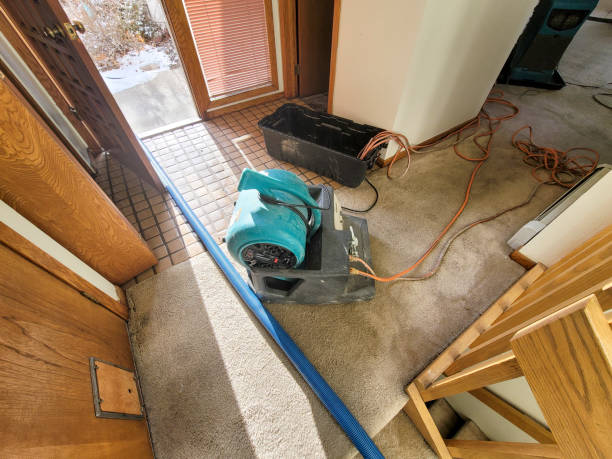 Best Water damage restoration near me  in Mlstadt, IL