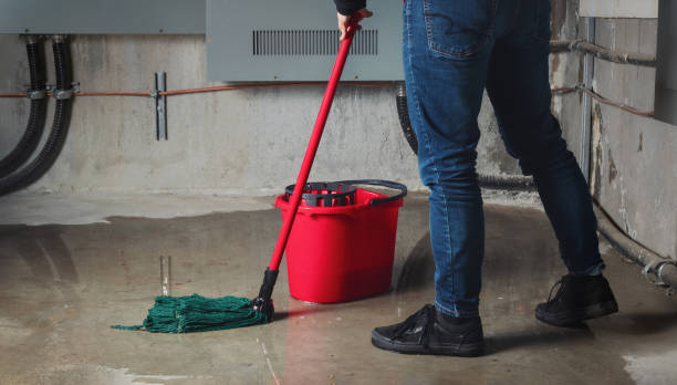 Best Flood restoration services  in Mlstadt, IL