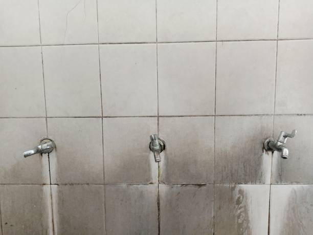 Best Water damage restoration near me  in Mlstadt, IL