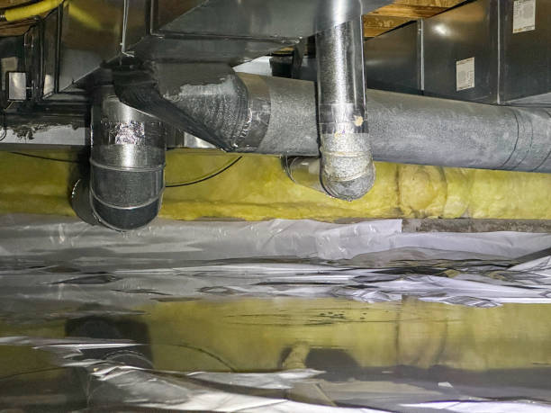 Best Emergency water damage restoration  in Mlstadt, IL