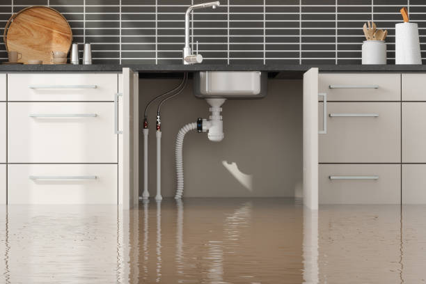 Best Local water damage restoration  in Mlstadt, IL