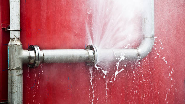 Millstadt, IL Water damage restoration Company